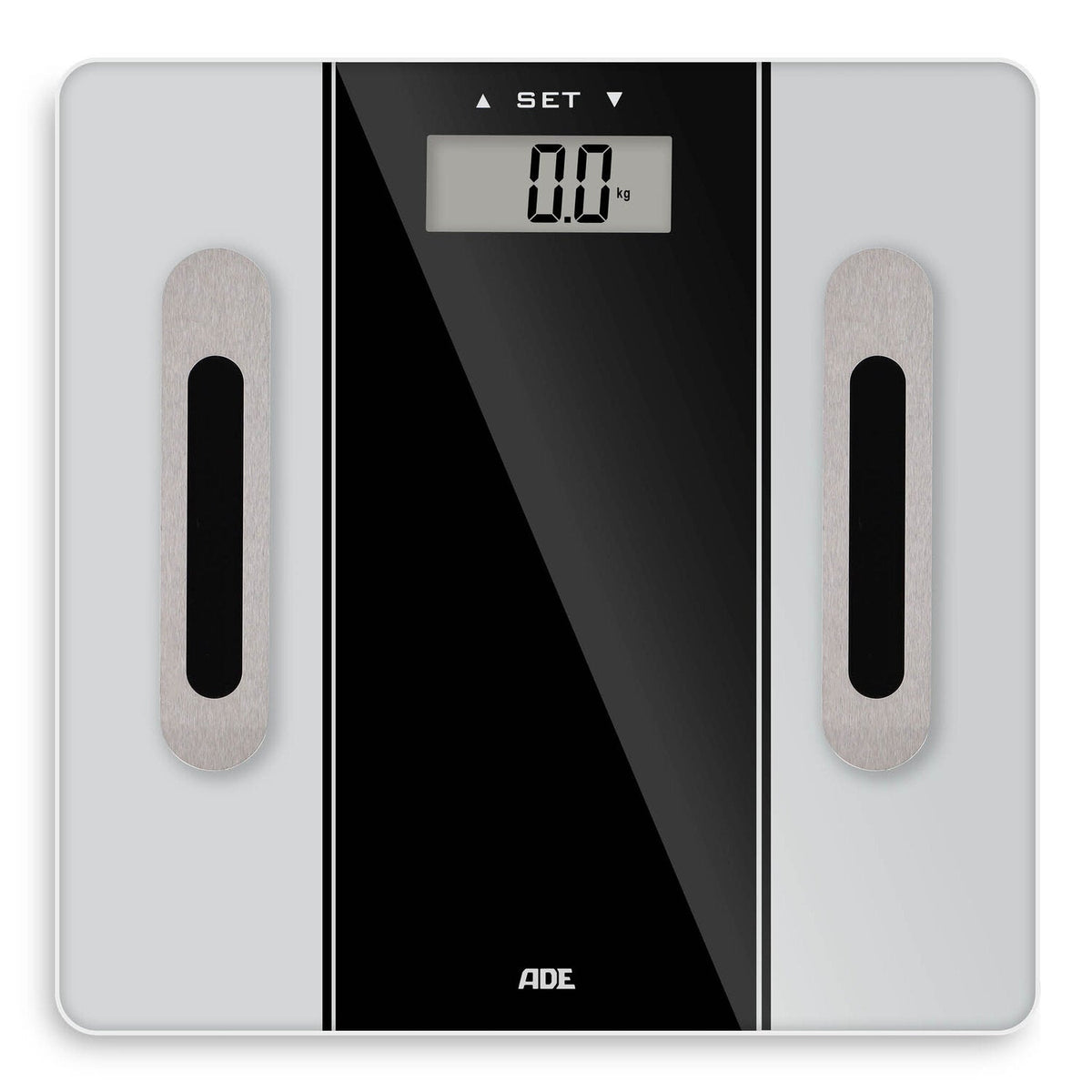 Tamina body analysis scale