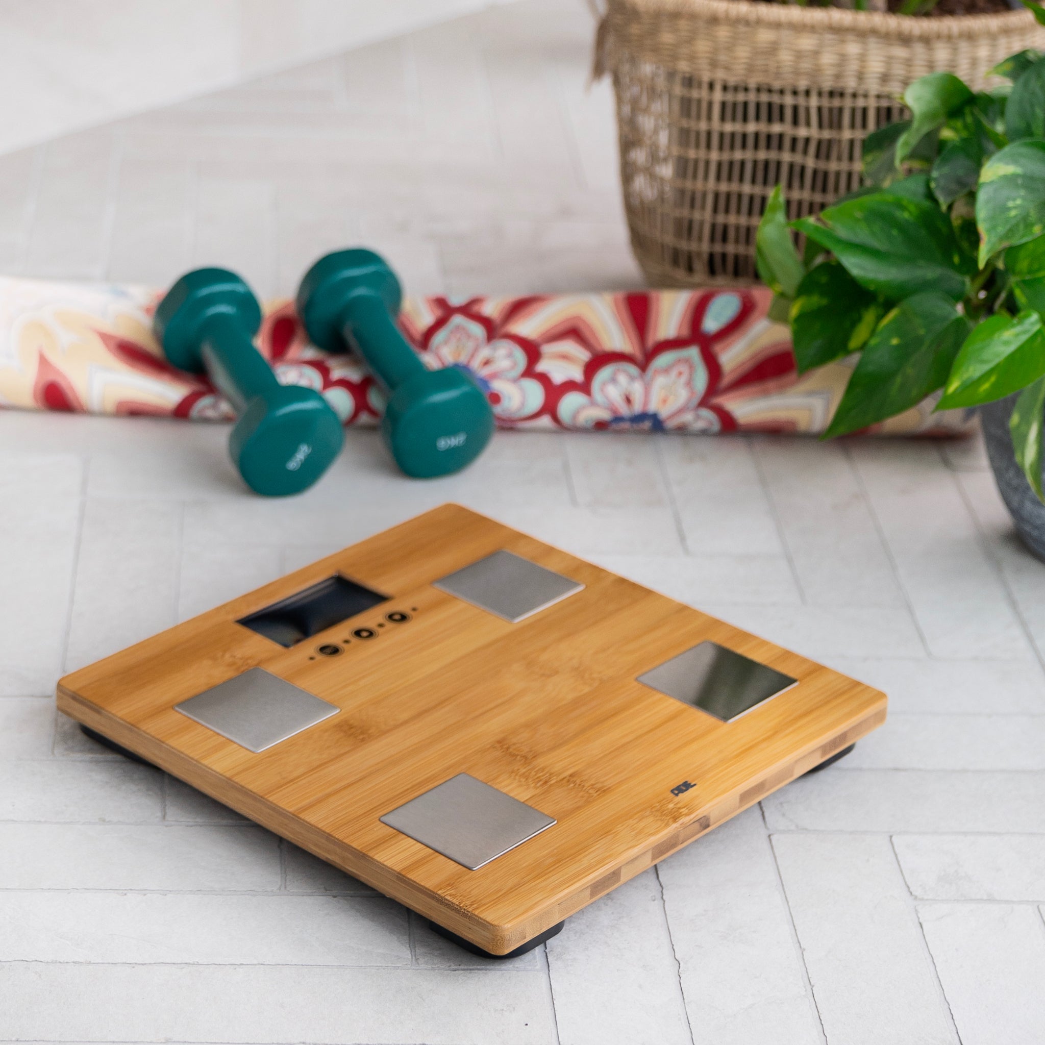 Body analysis scale Barbara