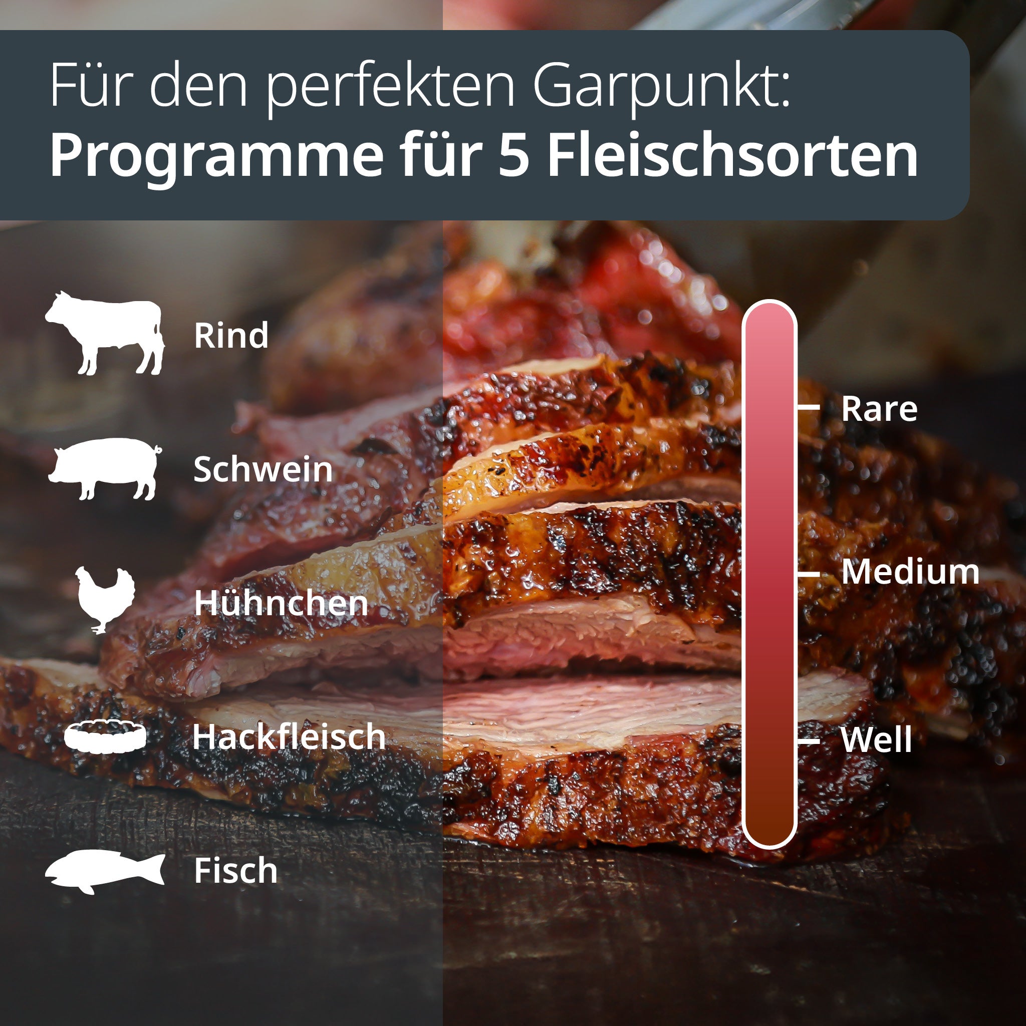 Digitales Bratenthermometer 2 Messfühler
