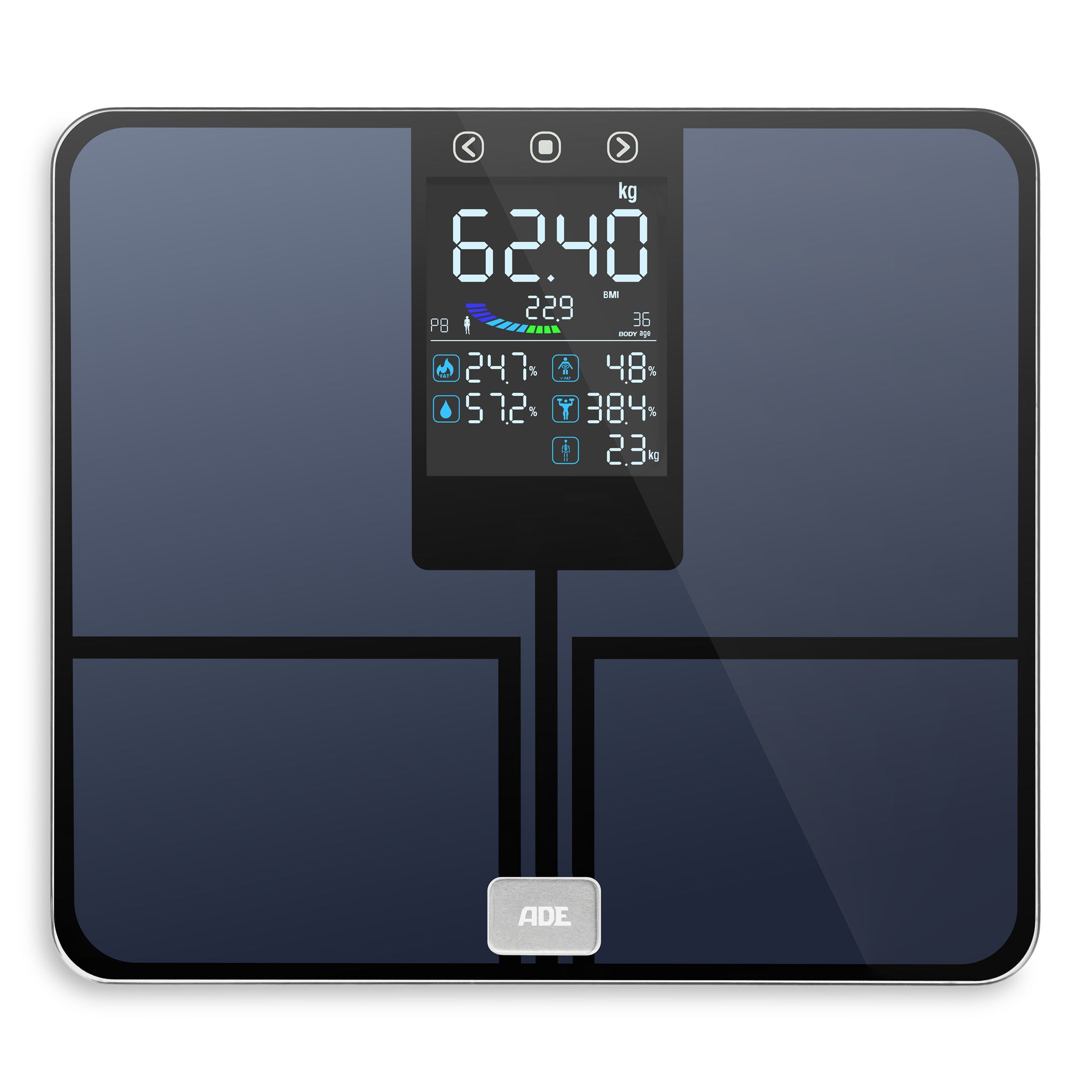 Emmy body analysis scale