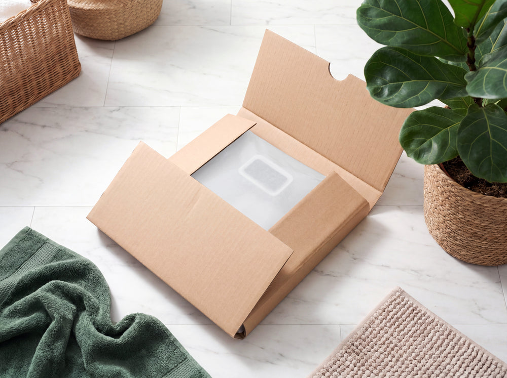 Bathroom scale in a cardboard shipping box, next to a houseplant