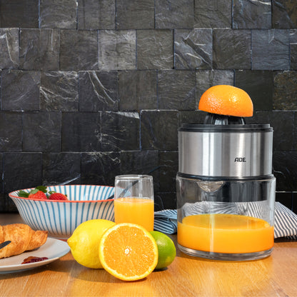 Electric citrus juicer
