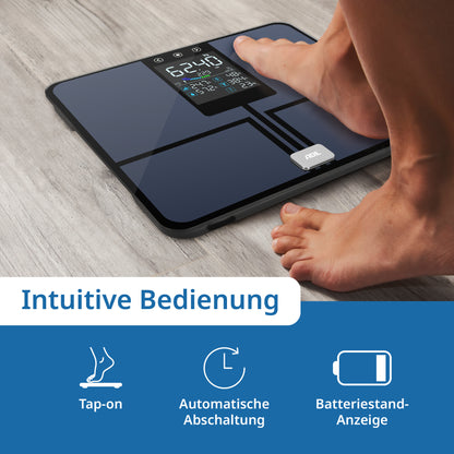 Emmy body analysis scale