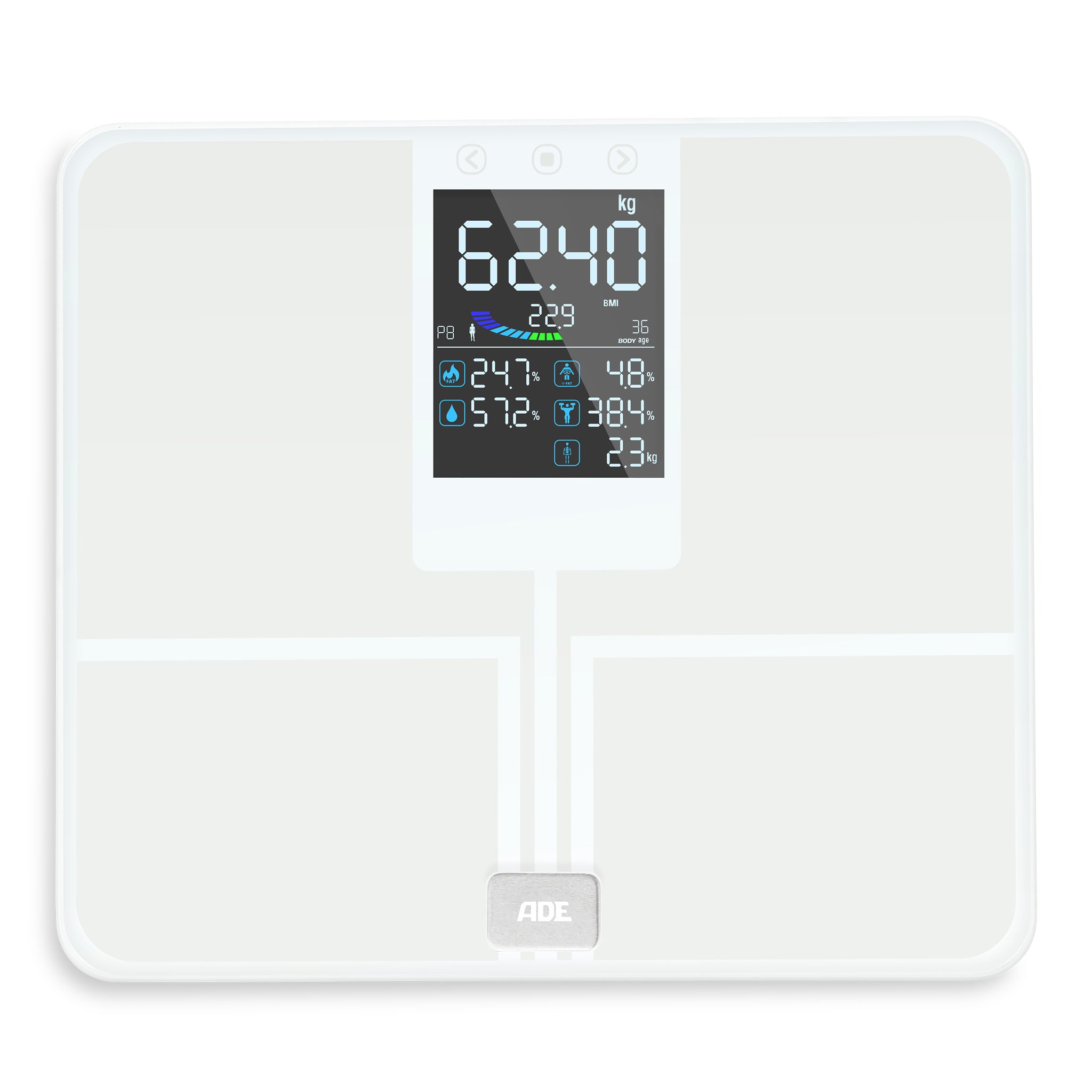 Emmy body analysis scale