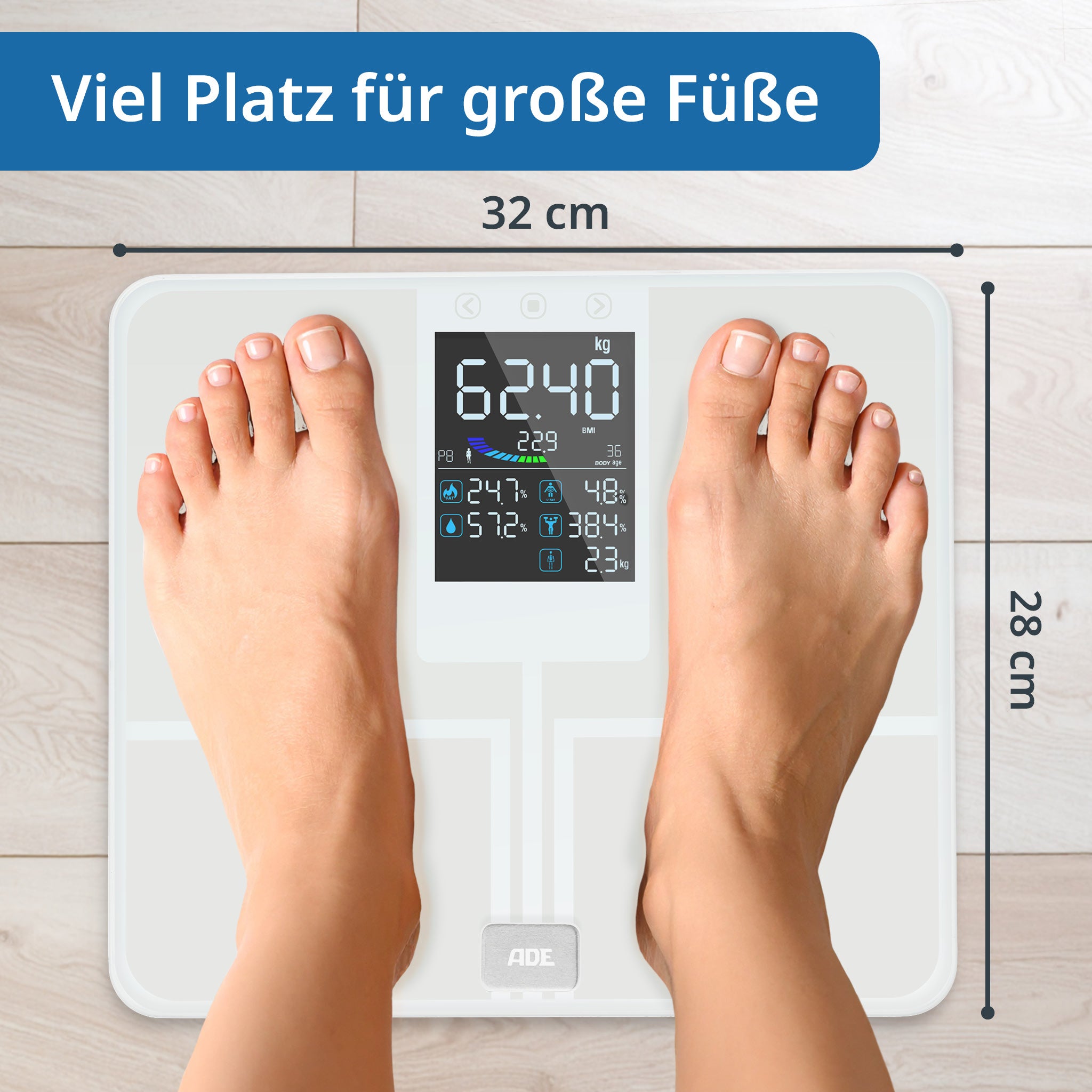 Emmy body analysis scale