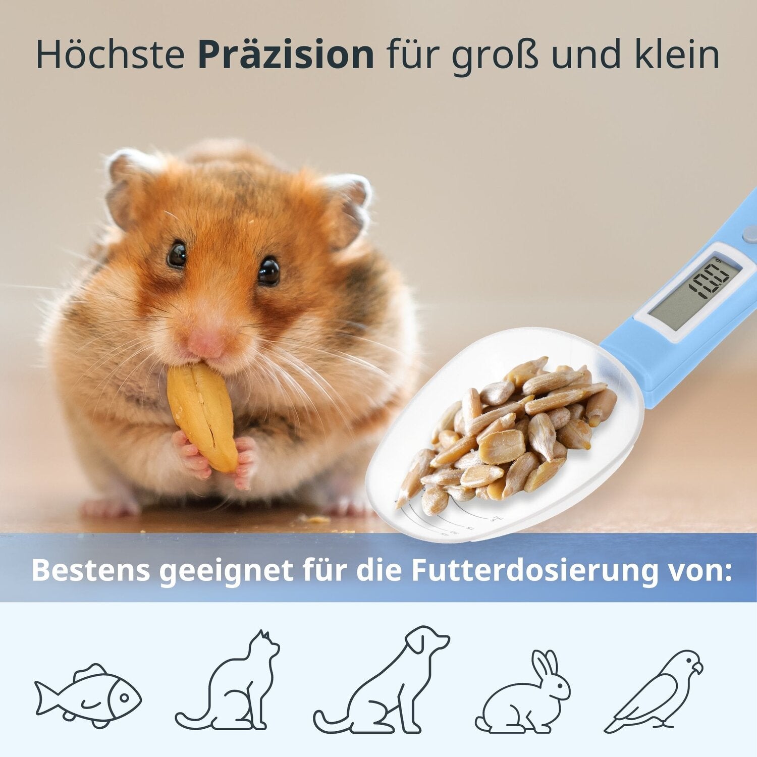 Digitale Löffelwaage