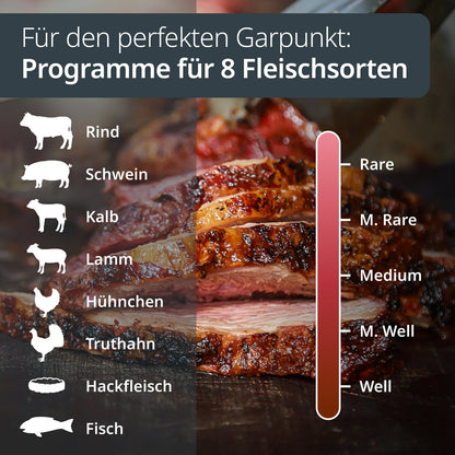 Digital meat thermometer